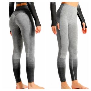 MAYZIA Ombré Power Seamless Leggings ~ NWT